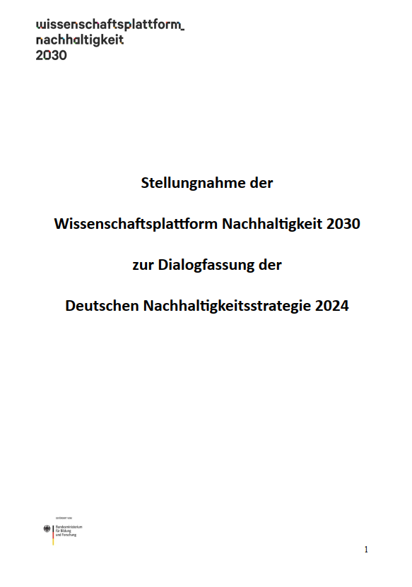 wpn2030-Stellungnahme zur Dialogfassung der DNS 2024